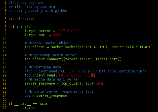 TCP Client – Server – Py-Sec[dot]org